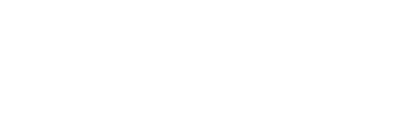 Kaiser International